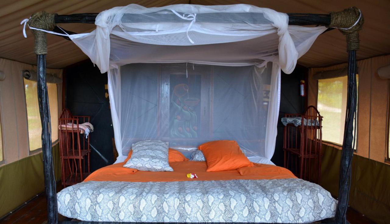 Shimba Hills Green Safari Lodge Kwale ภายนอก รูปภาพ